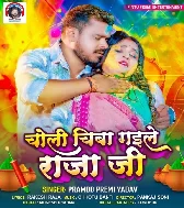 Puaa Samajh Ke Choli Chaba Gaile Raja Ji