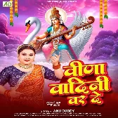 Veena Vadini Varde