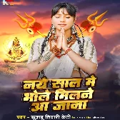 Naye Saal Me Bhole Milne Aa Jana (Khushboo Tiwari KT)